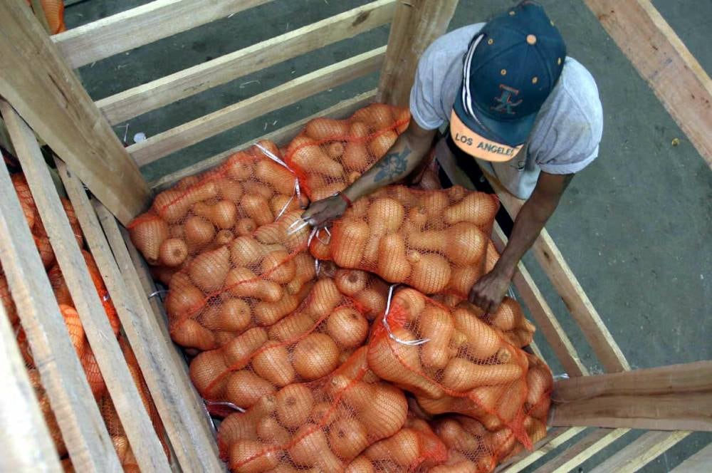 Horticultura: Mendoza es referente en la exportación de hortalizas.