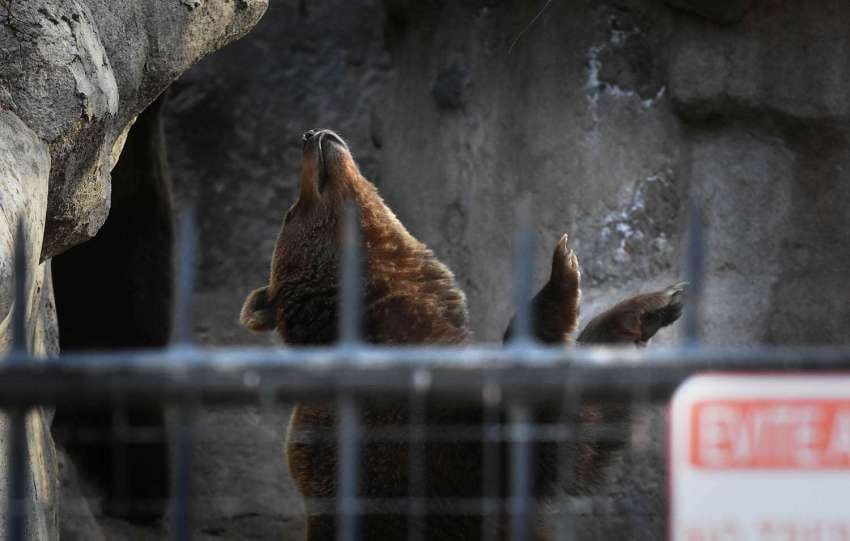 
Gustavo Rogé / 22 de agosto | Recorrida por el ex zoológico para mostrar los avances en las reformas para convertirlo en un Eco Parque
   