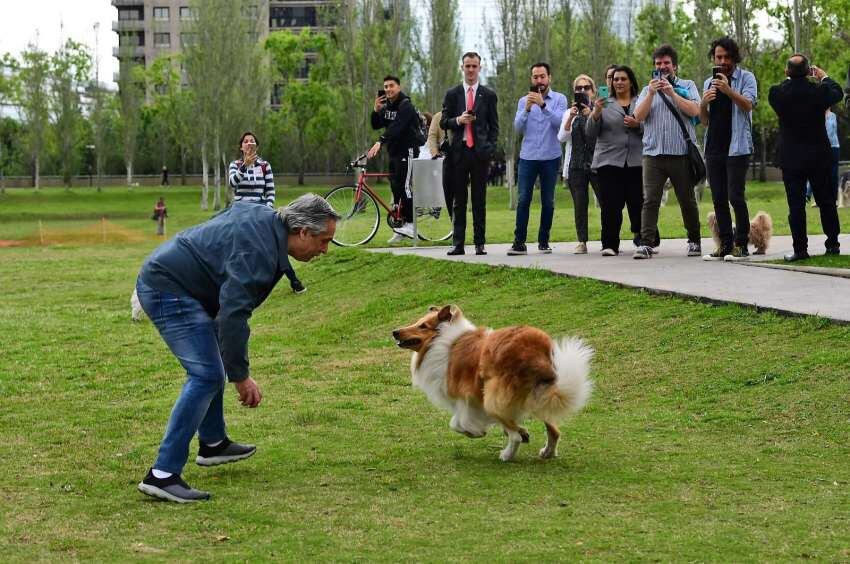 
Alberto Fernández y su incondicional mascota Dylan. | AFP
   