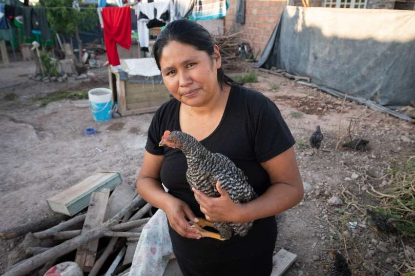 
Teresa acaricia a una de sus gallinas que cría para tener provisión de huevos. | Ignacio Blanco / Los Andes
   