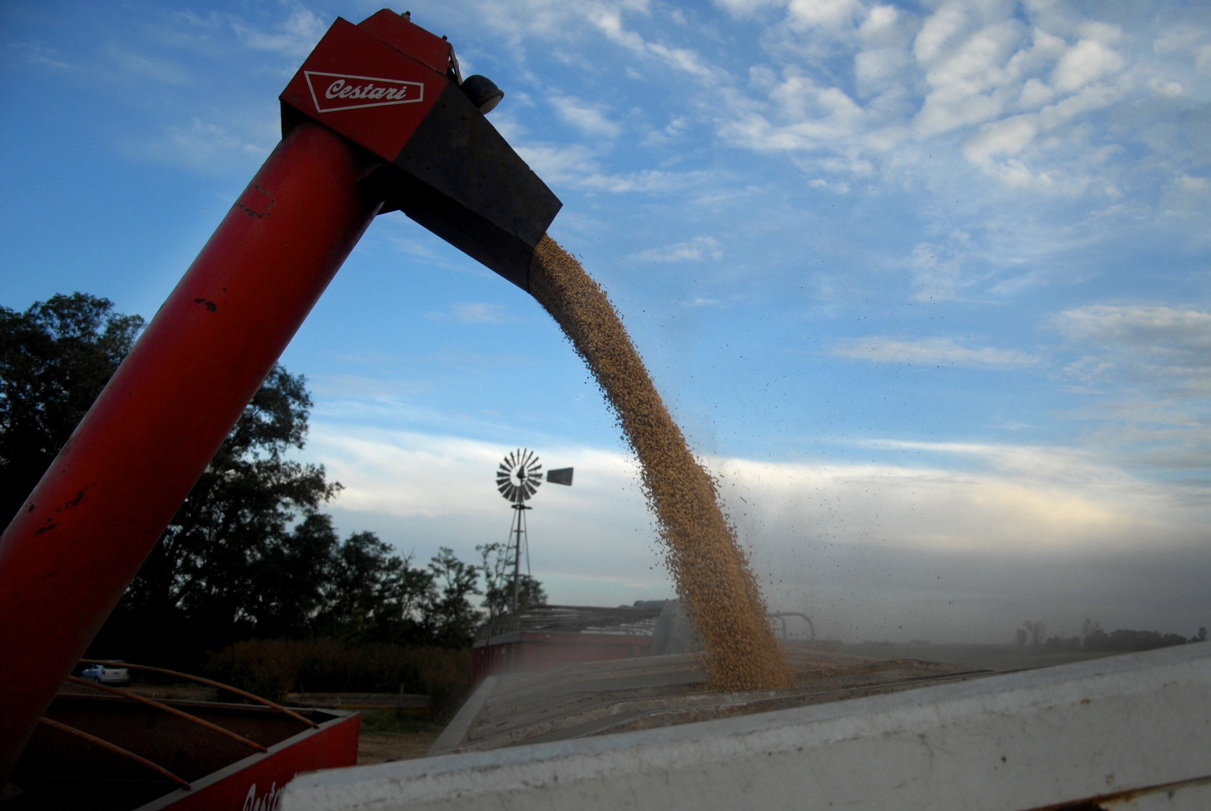 El Gobierno nacional puso nuevas trabas a las exportaciones de maíz y suma quejas de los productores.