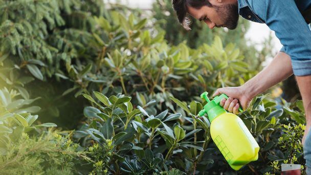 Estos son los beneficios de usar vinagre sobre las plantas del jardín.