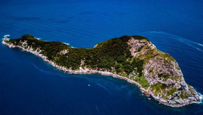 La “isla de las serpientes”, cuyo nombre real es “La Ilha de Queimada grande” se ubica a 33 kilómetros de la costa de San Pablo, Brasil