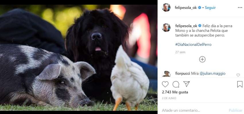 
Comparte tiempo con otros animales  | Instagram
   