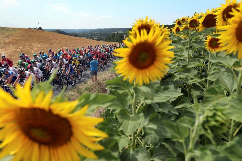 
Foto: AFP | El recorrido consta de 3480 km. Salieron el 6 de julio desde Bruselas y llegarán el 28 de julio a París en 21 etapas. Dos contrarrelojs, una por equipos y una individual.
   