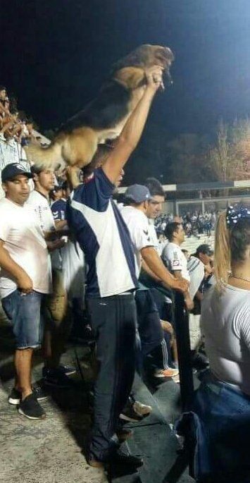 
    En la cancha de Quilmes.
   