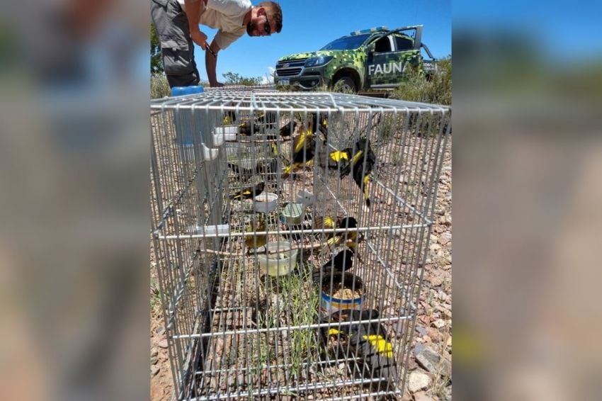 
    Prensa Secretaría de Ambiente
   