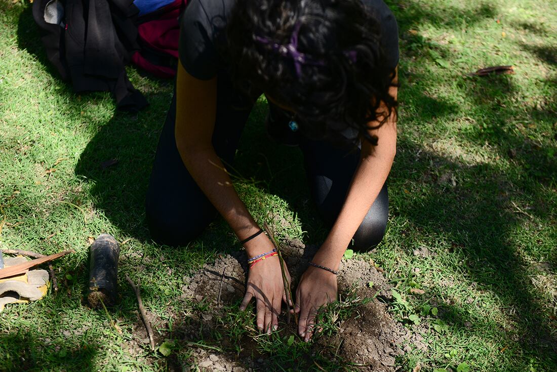 La forestación es otra alternativa en pequeñas ciudades para paliar el cambio climático. 