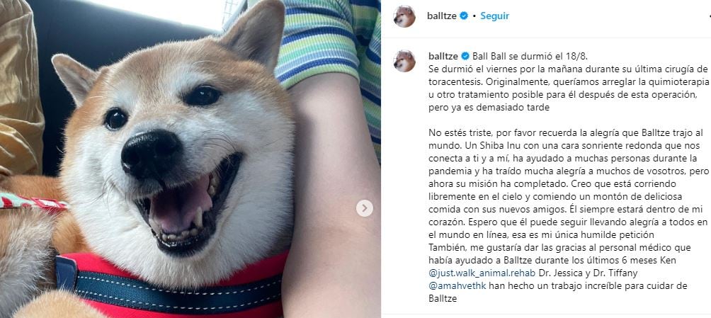 El protagonista de uno de los meme más usados, murió el pasado viernes.