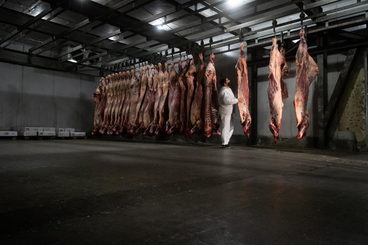 Prohibición para exportar: el campo llamó al paro y ya comienza a faltar carne. Foto: Ignacio Blanco / Los Andes