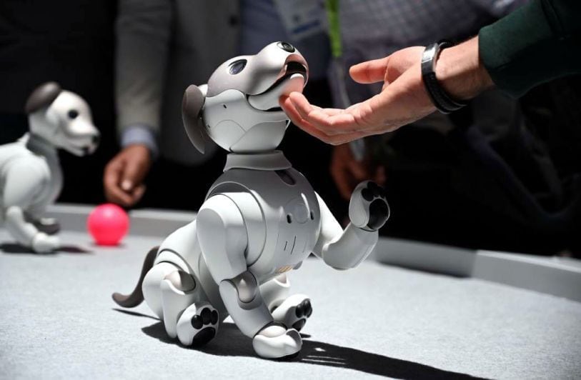 
    Un perro electrónico. El stand de Sony irradió ternura entre los curiosos que se acercaron.
   