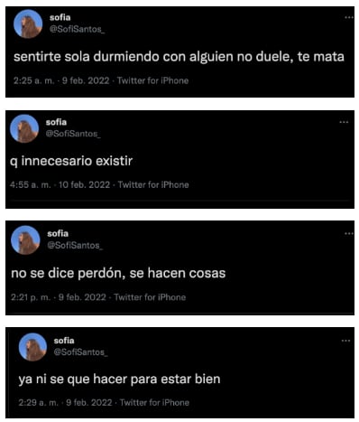 Sofia Santos se descargó en twitter