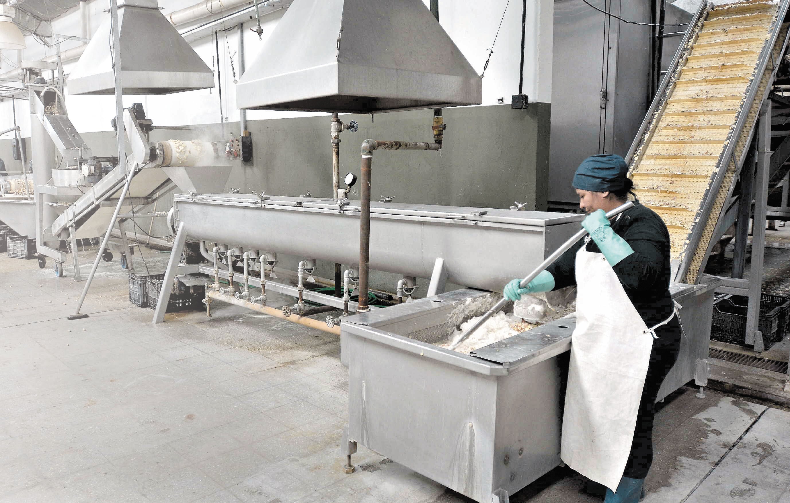 La fábrica produce hortalizas y legumbres deshidratadas, y la campaña consistió en que la gente aportara 10 pesos por cada ración que se donó (los trabajadores pusieron la mano de obra sin costo). Foto: Orlando Pelichotti / Los Andes.