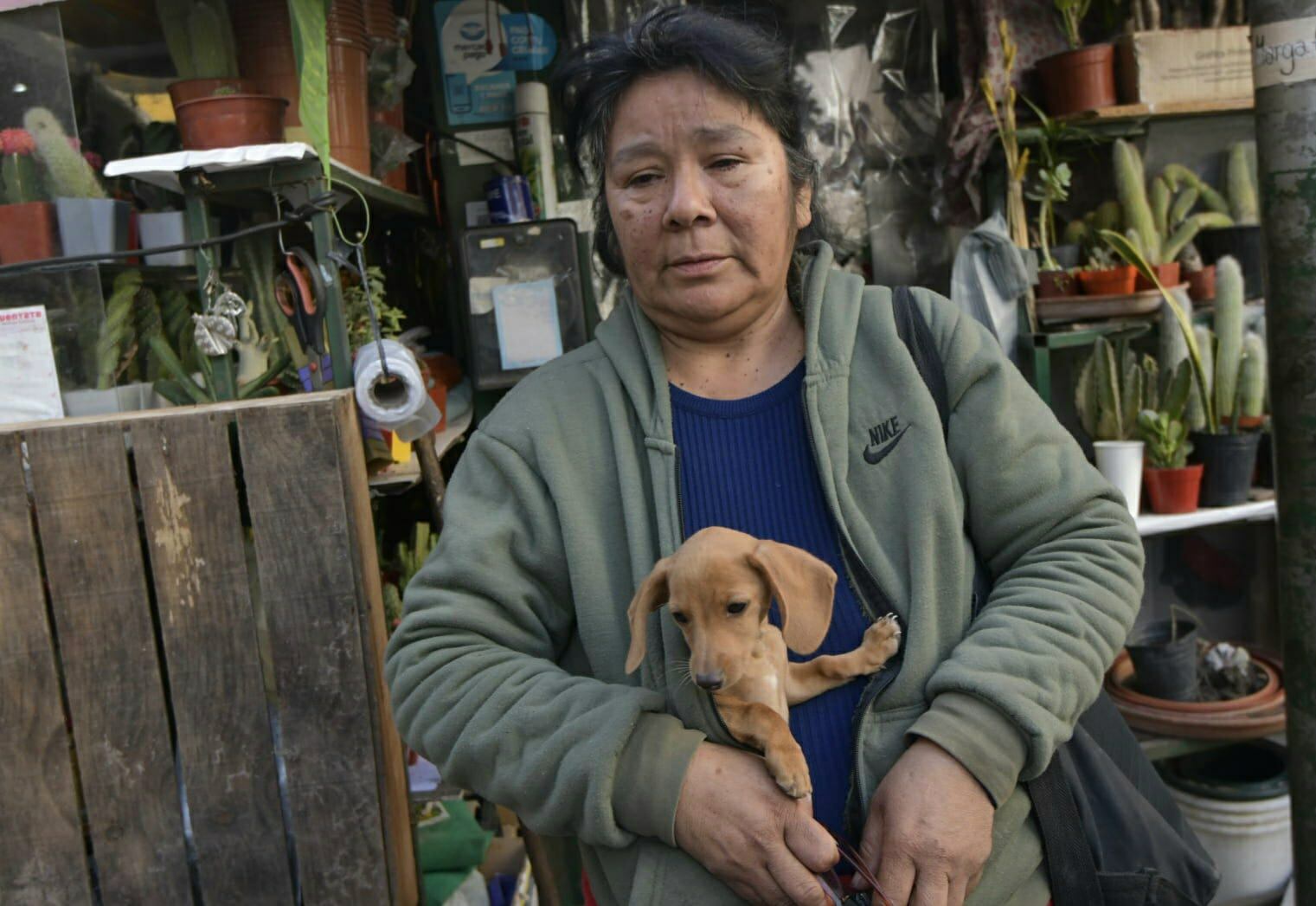 Robaron y causaron destrozos en el local de Margarita Flores. Foto: Orlando Pelichotti / Los Andes