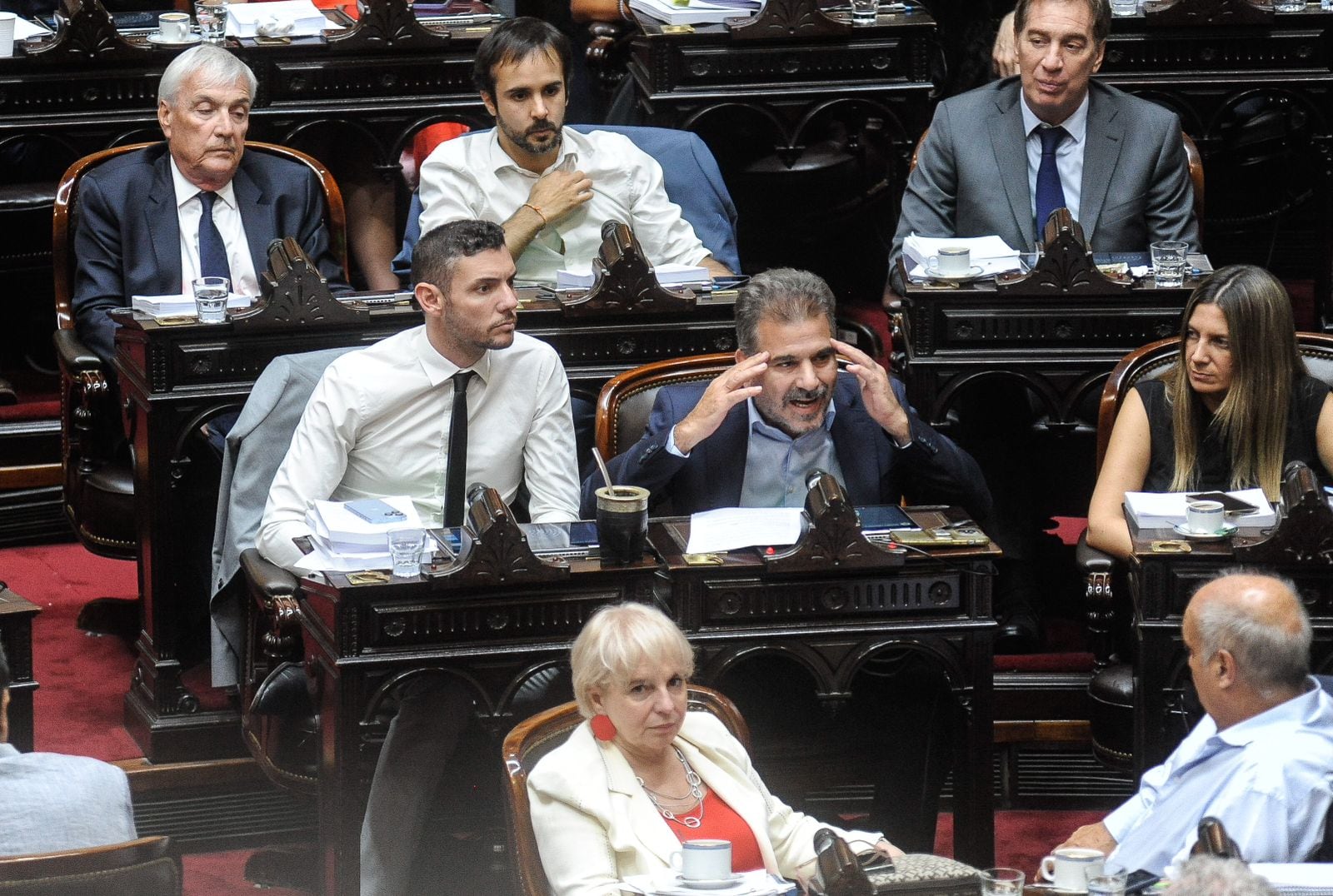 Cristian Ritondo, presidente del bloque de diputados nacionales del PRO. Foto: Federico Lopez Claro