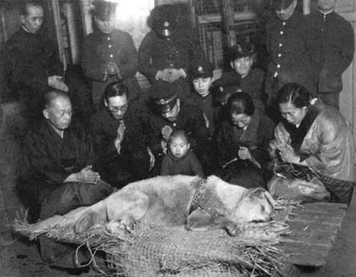 
    La muerte de Hachiko conmovió a todos en la ciudad. Foto gentileza.
   