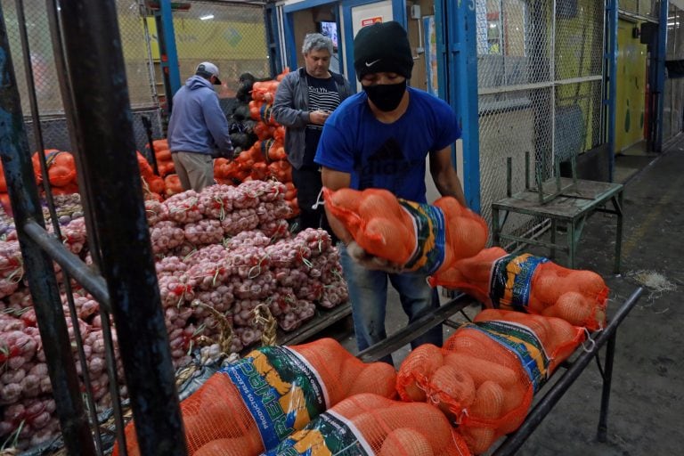 Productos como el "zapallo calabaza" han mantenido precios sin demasiadas variaciones en los últimos tres meses, a pesar del incremento de costos para el productor y por ejemplo, la bolsa se vende entre $480 y $550 en la feria. 