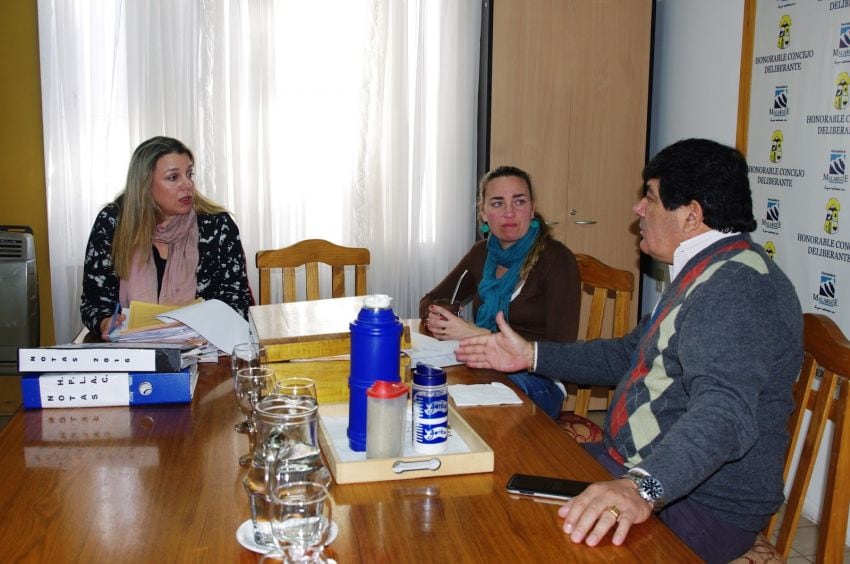 
    Patricia Cecconato en el Concejo Deliberante de Malargüe.
   