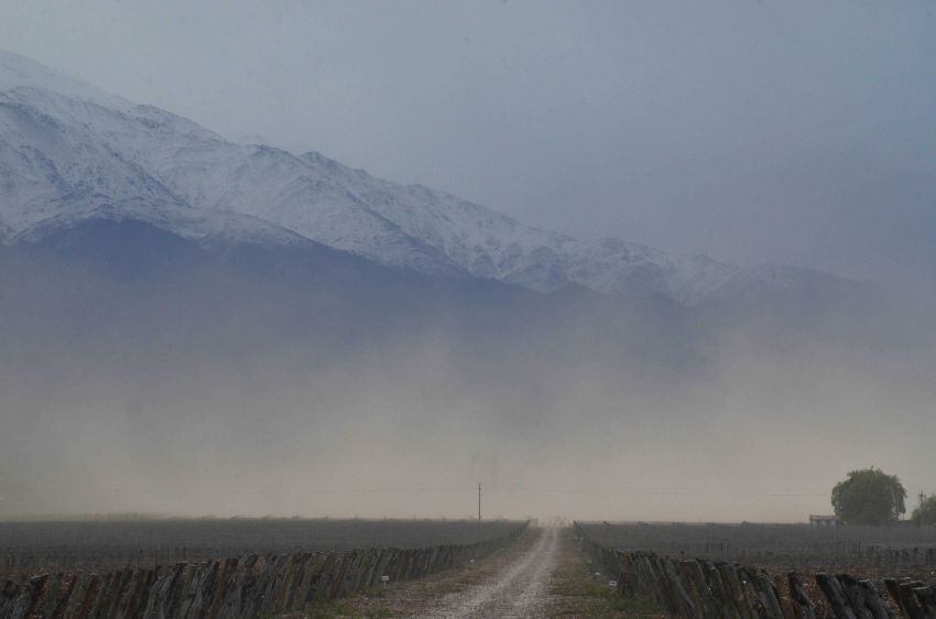 
Fuerte viento del Oeste afectando el Corredor Productivo en Valle de Uco  | Foto: Claudio Gutiérrez / Los Andes
   