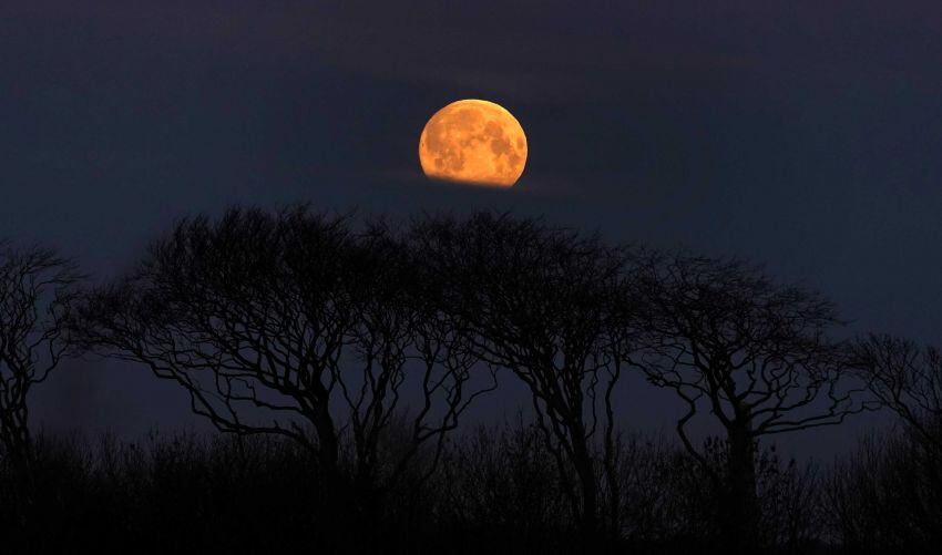 
    Una luna como se ve desde Whitley Bay, en el noreste de Inglaterra, cuando el sol comienza a salir Foto: AP
   