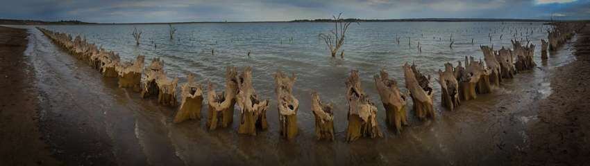 Durante dos semanas, desarrolló una instalación laberíntica con troncos y raíces de viejos olivares que habían quedado tapado durante décadas por las aguas del dique.