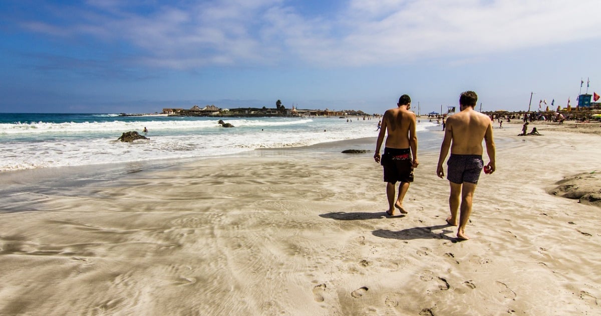 Totoralillo, el “Caribe chileno” ubicado a 20 minutos de La Serena (Foto gentileza Turismo de Chile)