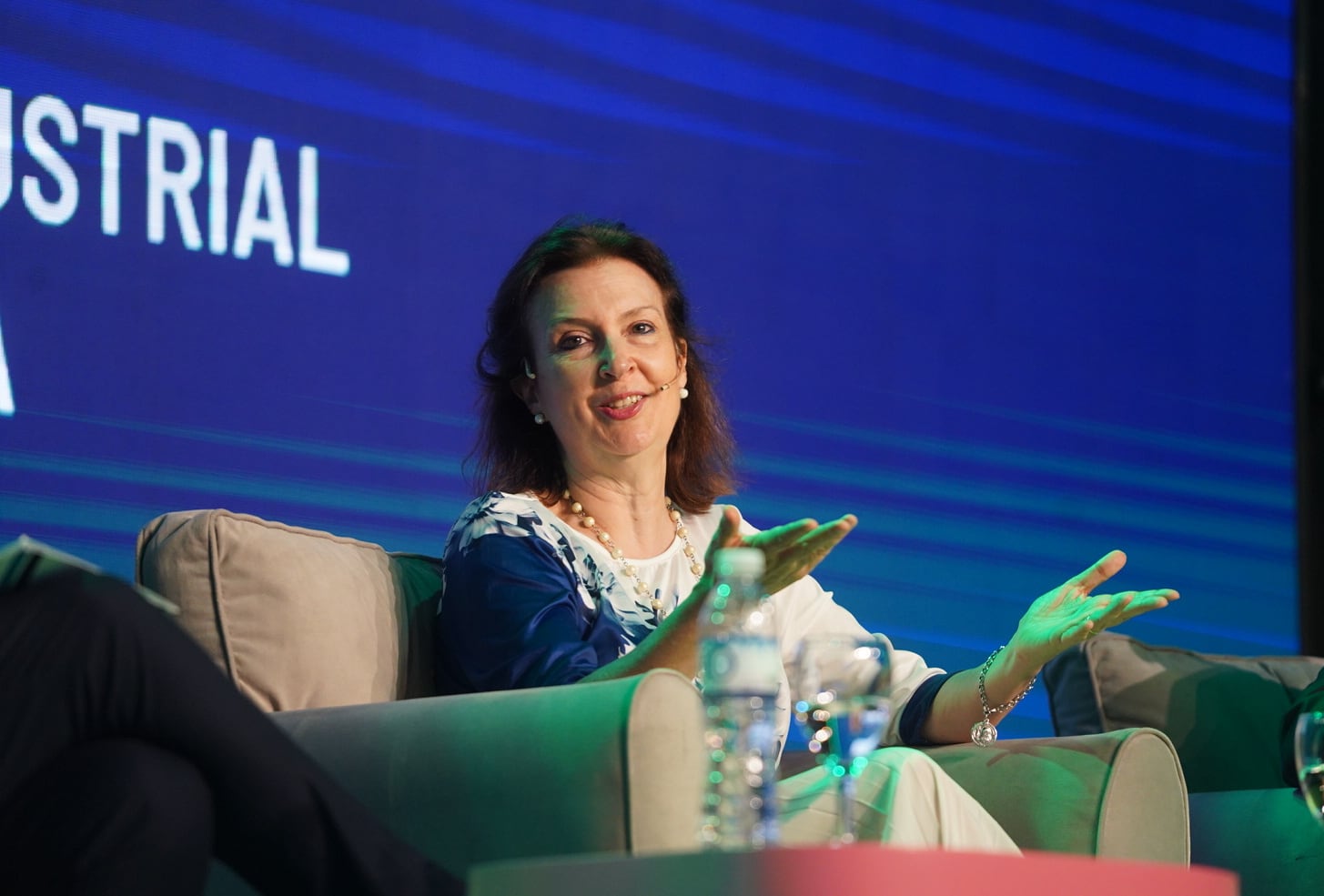 La futura Canciller Diana Mondino en la conferencia de la Unión Industrial Argentina - Foto Guillermo Rodríguez Adami