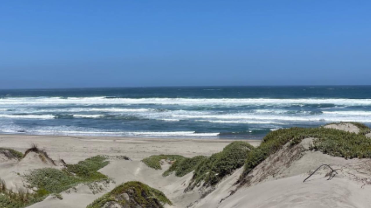 Dónde queda y cómo llegar a Ritoque, la tranquila playa de dunas y bosques a menos de una hora de Reñaca. Foto: Instagram @bmorera