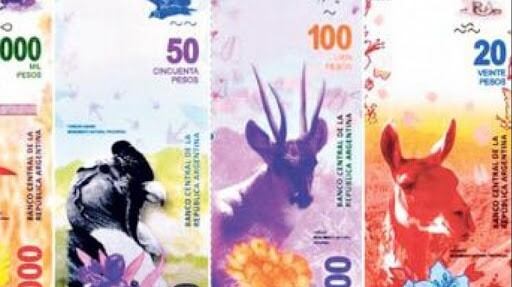 Están pensando en reemplazar la familia de animales autóctonos en los billetes.