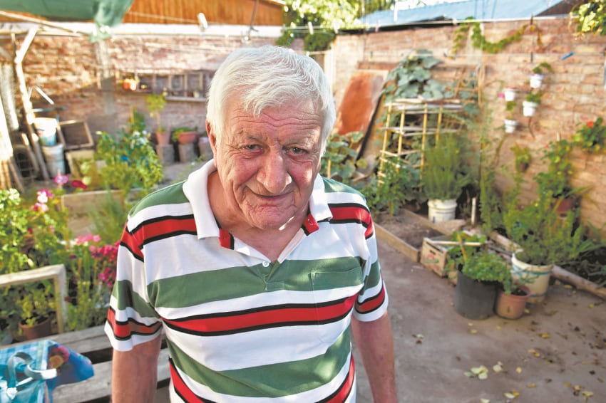 
En su huerta. En su casa del barrio Epa, Oreste cuida sus cultivos de zapallitos, berenjenas, acelgas y más. | Diego Parés / Los Andes
   