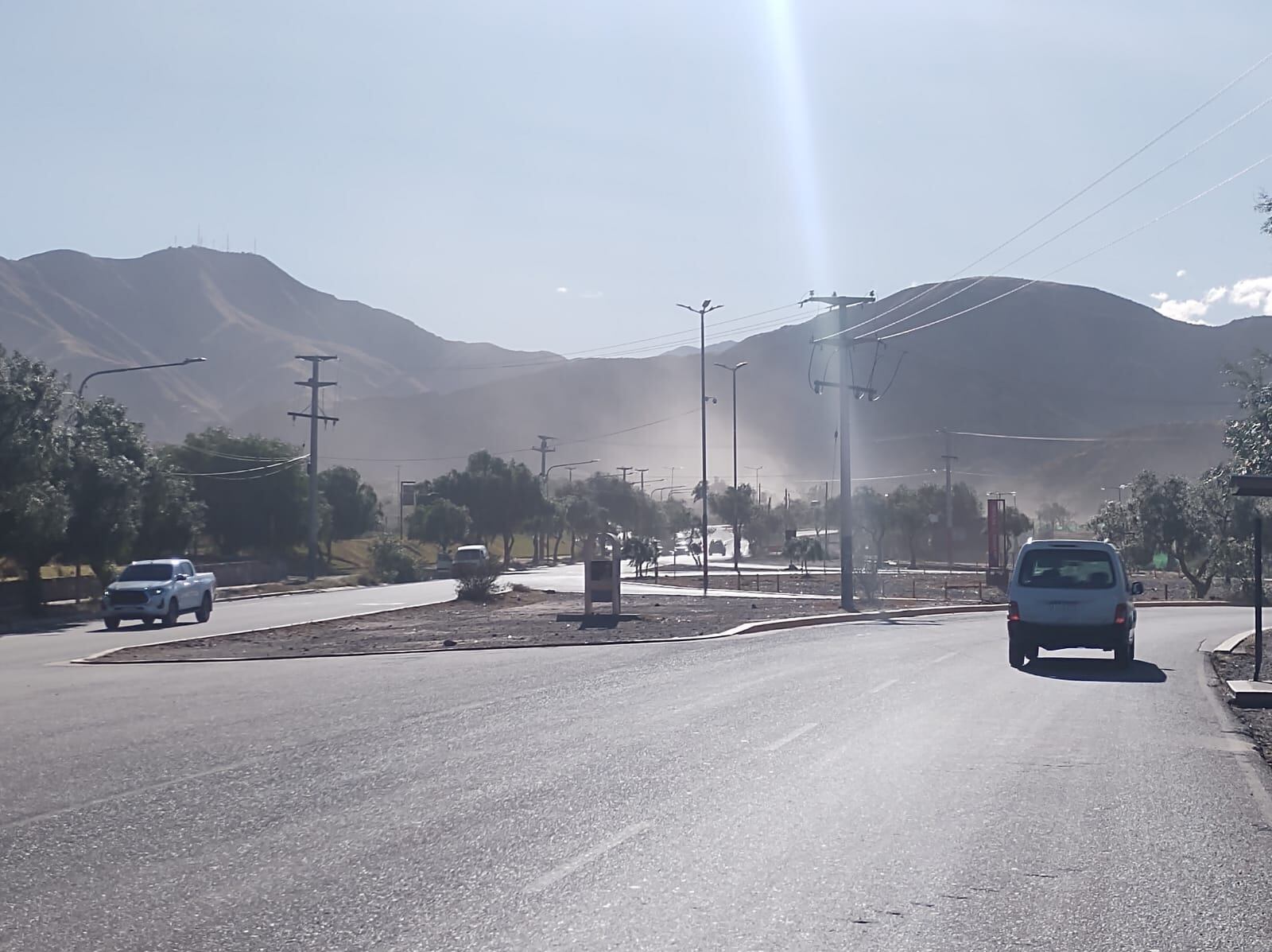 Lo que el Zonda nos dejó: más de 150 árboles, ramas, postes y cables caídos luego del viento. Foto: Ignacio Blanco / Los Andes