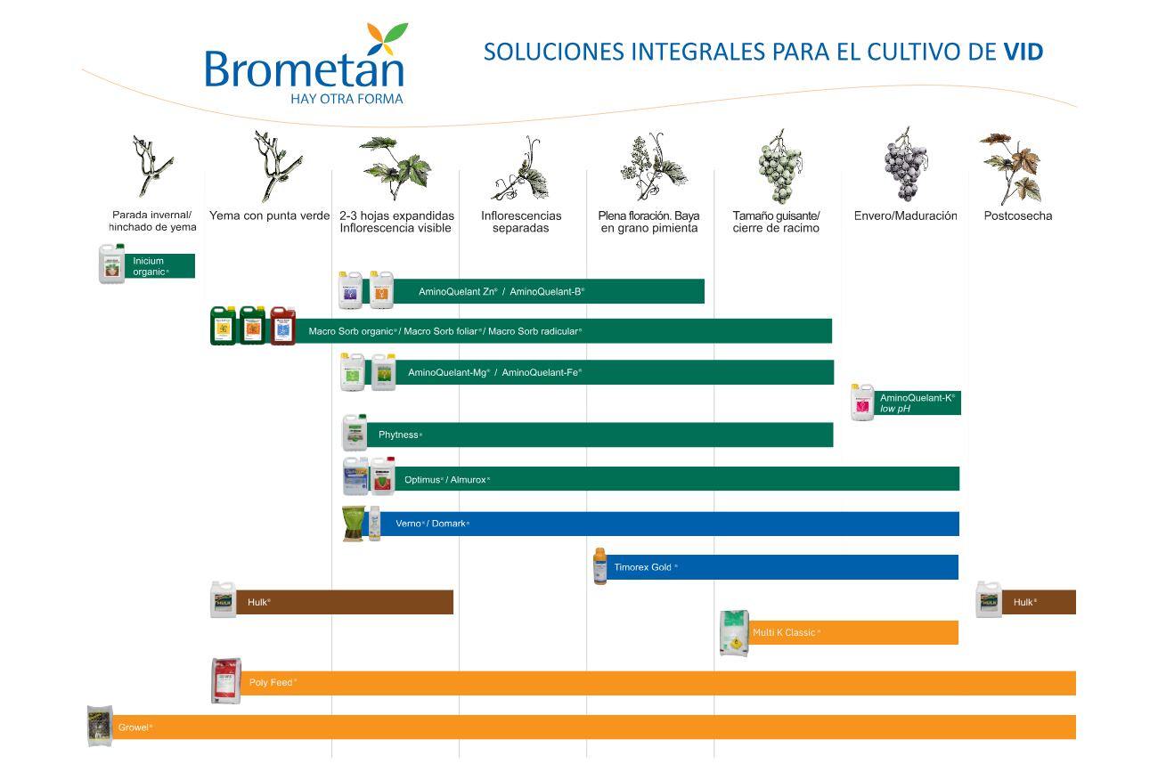 Brometan impulsa la innovación.