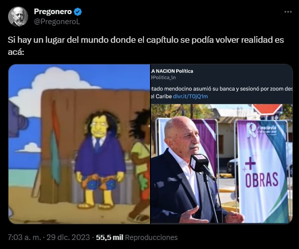 El diputado mendocino que sesionó desde el Caribe es tendencia en las redes y no faltaron los memes. Foto: Captura X