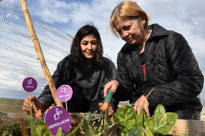 
Beneficios de la huerta en casa o en espacios comunitarios.  | Orlando Pelichotti / Los andes
   