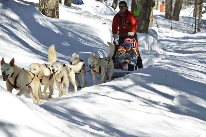 
    Nieve. Las fuertes nevadas de los últimos tiempos mejoraron las condiciones.
   