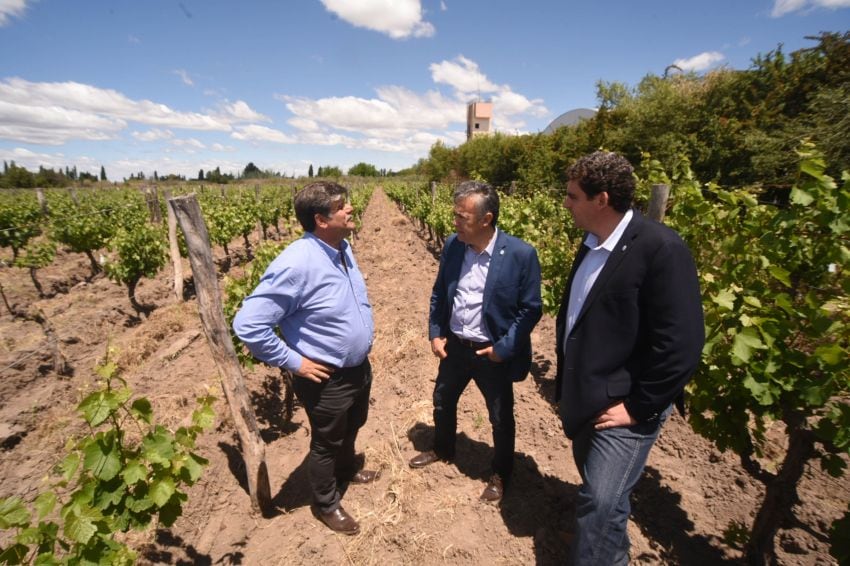 
Mario Abed junto a Alfredo Cornejo y Martín Kechner. | Prensa de Gobierno de Mendoza
   