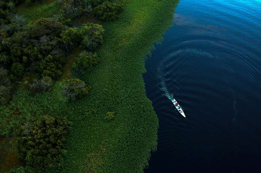 
El Amazonas es el río más grande del mundo | Archivo AFP
   