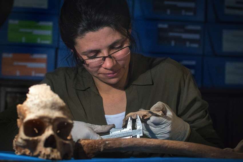 
Daniela Mansegosa. Investigadora Conicet y responsable del proyecto | Orlando Pelichiotti / Los Andes
   