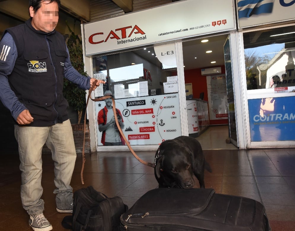 Ya son 15 los canes detectores de droga en Mendoza. | Foto: Los Andes