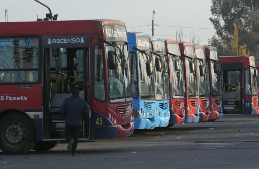 
    Orlando Pelichotti / Los Andes
   