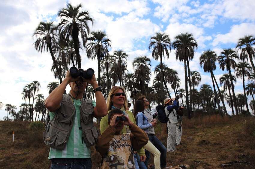 
De paseo. Un grupo de turistas observa la biodiversidad que reina en el Parque Nacional.
