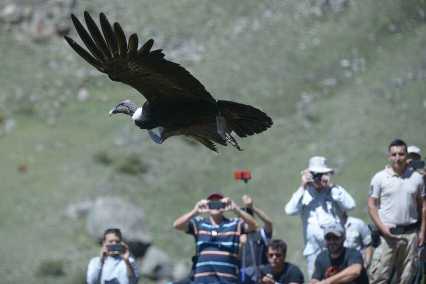 
    Prensa Secretaría de Ambiente y Ordenamiento Territorial
   