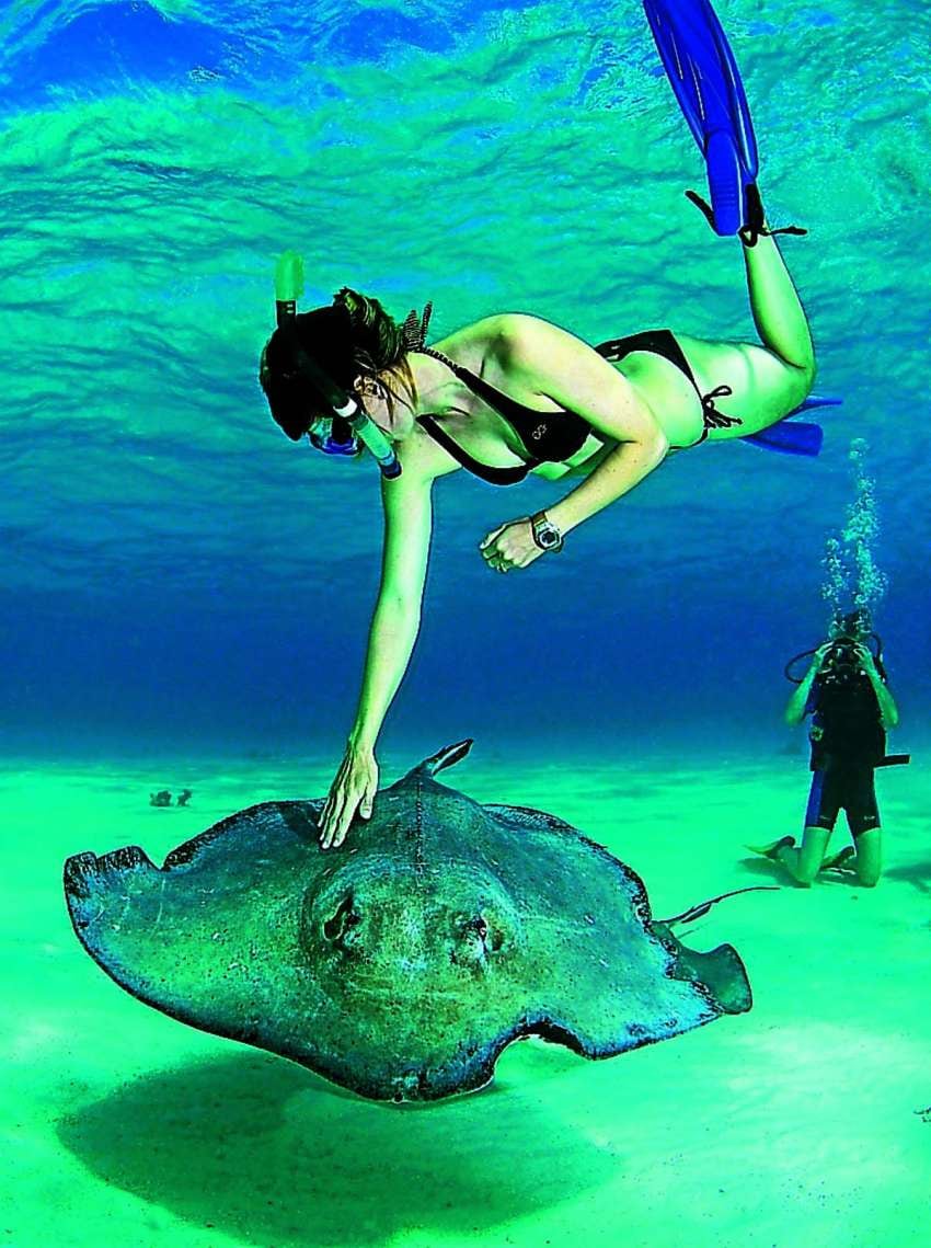 
    Azul. En Cozumel se ofrecen varias excursiones para hacer Snorkel.
   