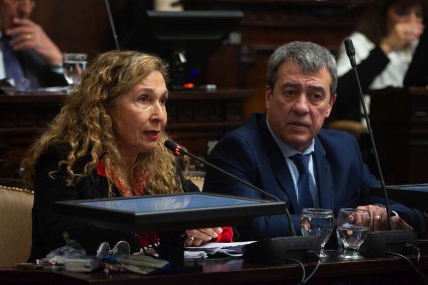 
    Los últimos 4 años fue la presidenta del bloque de senadores peronistas en la Legislatura
   