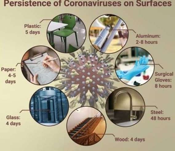 
    Diagrama de la persistencia del virus sobre las superficies. Fuente: Comité de Infectología del Hospital Carlos Durand.
   