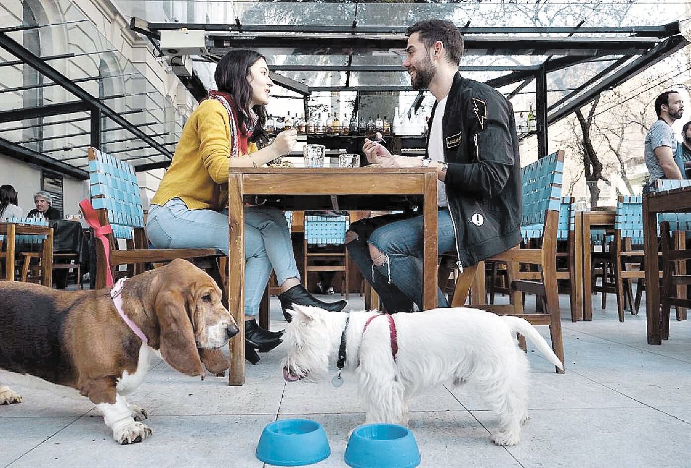 Onda ‘Pet Friendly’: el boom de llevar a tu perro a todos lados