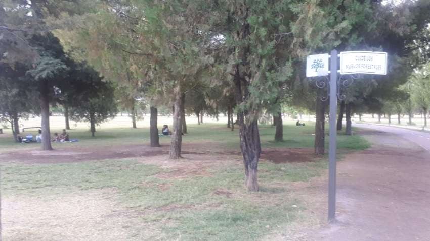 
Gentileza | En esta zona del Parque Metropolitano de Maipú se colocará la placa en homenaje a Cabezas.
   