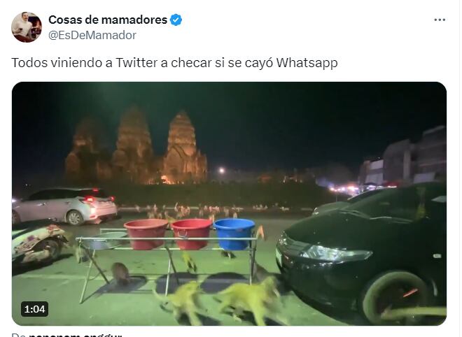 Se cayó WhatsApp y estallaron los memes - X