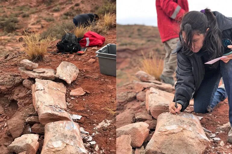 Los investigadores trabajan en el lugar del hallazgo. Foto: LMNeuquén