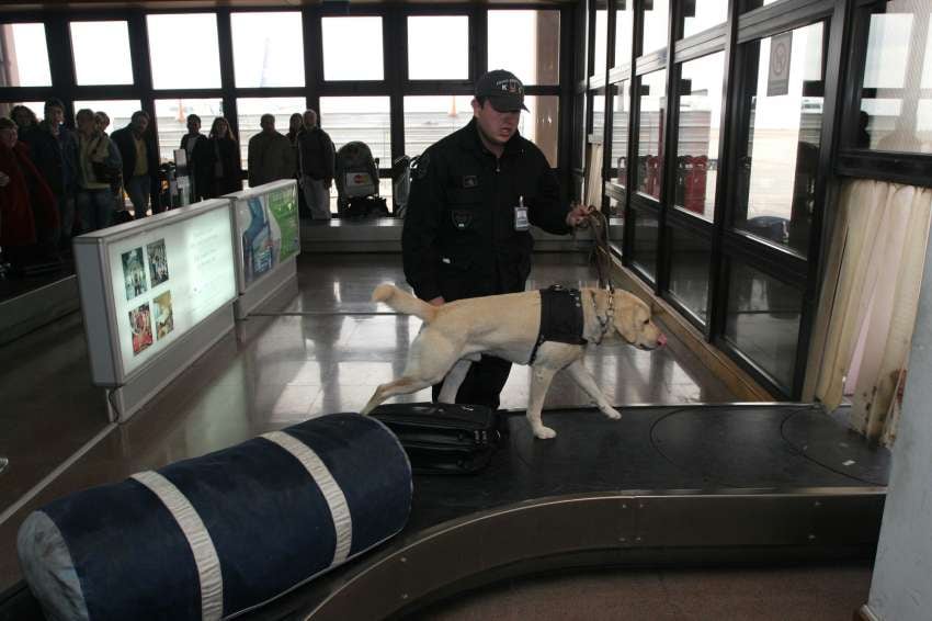 
La Policía de Seguridad Aeroportuaria es otra de las fuerzas nacionales autorizadas | Foto: Archivo / Los Andes.
   